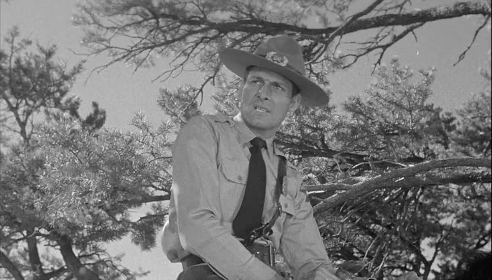 真昼の脱獄の画像