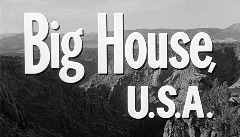 真昼の脱獄の画像