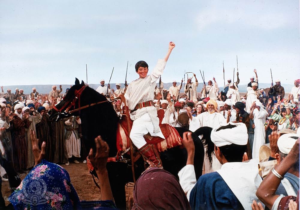 ワイルド・ブラック2／黒い馬の故郷への画像