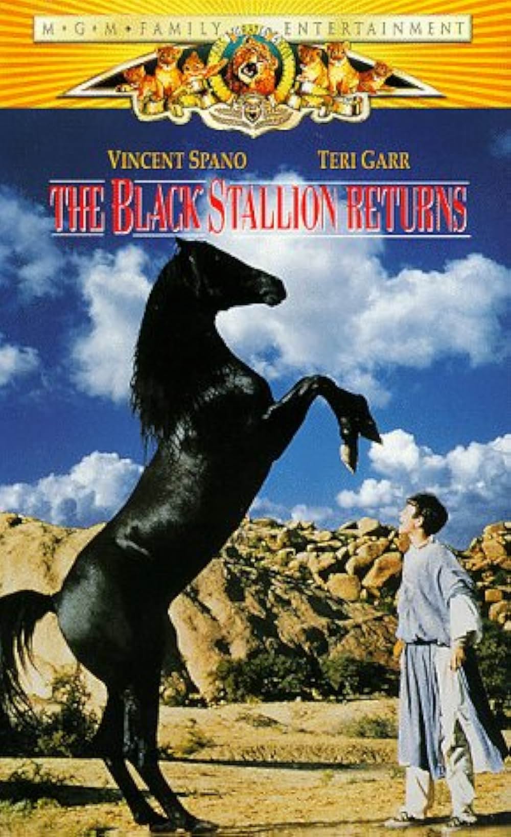 ワイルド・ブラック2／黒い馬の故郷への画像