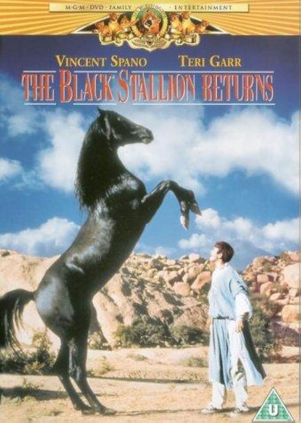 ワイルド・ブラック2／黒い馬の故郷への画像