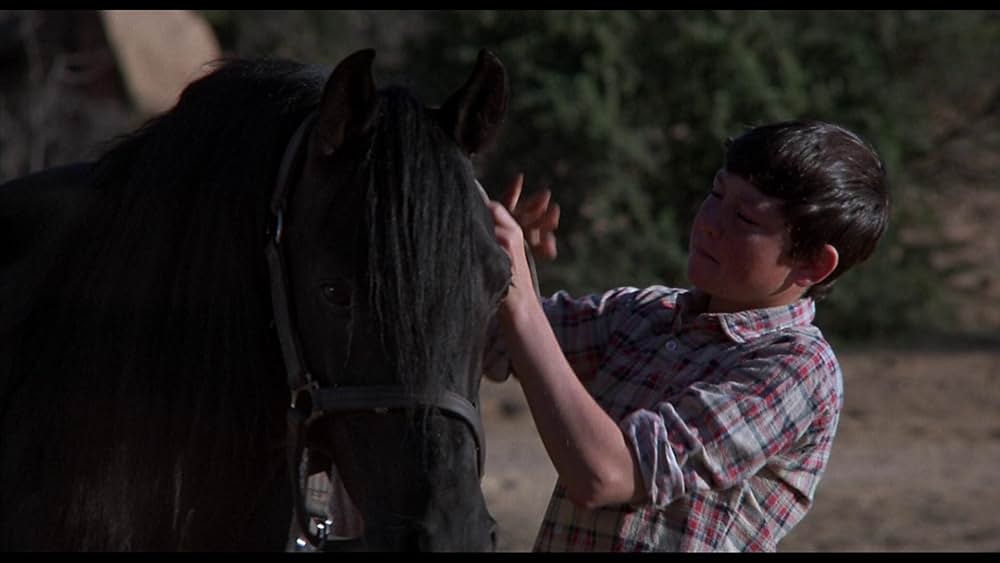 ワイルド・ブラック2／黒い馬の故郷への画像