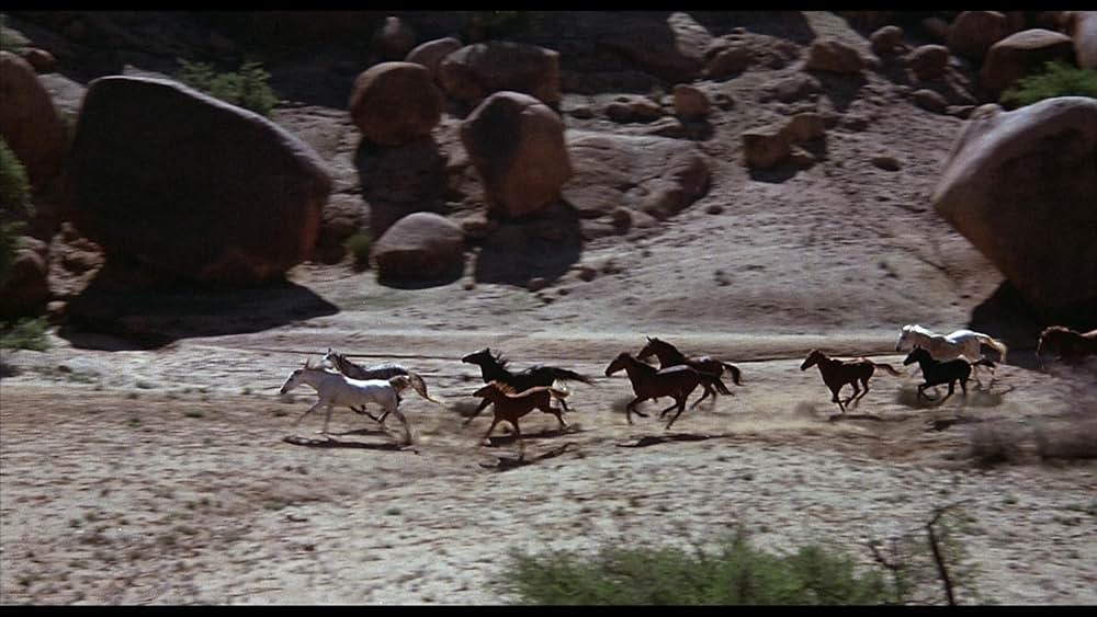 「ワイルド・ブラック2／黒い馬の故郷へ」の画像