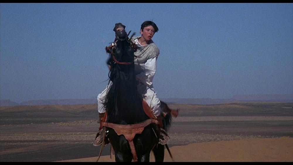 ワイルド・ブラック2／黒い馬の故郷への画像