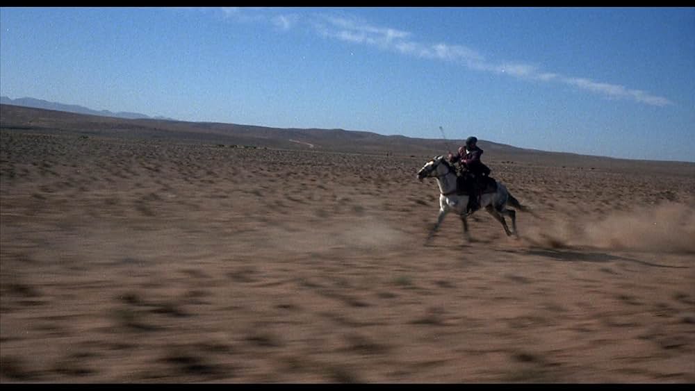 ワイルド・ブラック2／黒い馬の故郷への画像