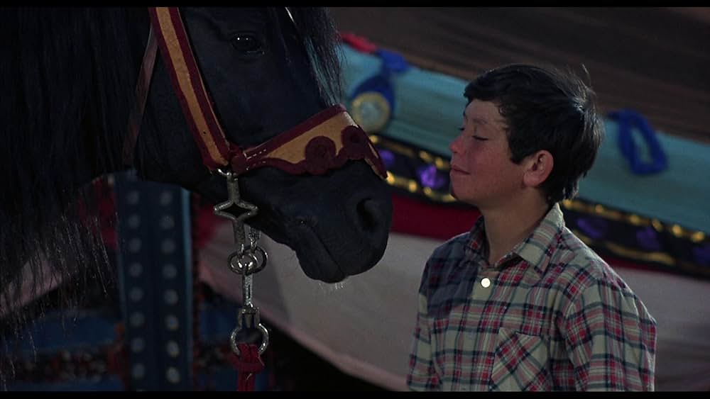 ワイルド・ブラック2／黒い馬の故郷への画像