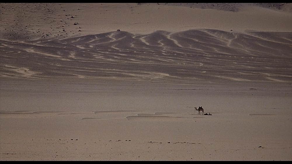 ワイルド・ブラック2／黒い馬の故郷への画像