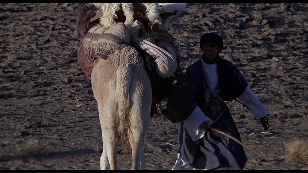 ワイルド・ブラック2／黒い馬の故郷への画像