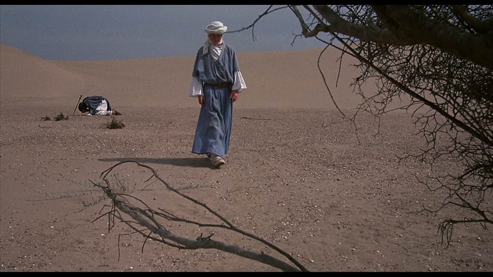 ワイルド・ブラック2／黒い馬の故郷への画像