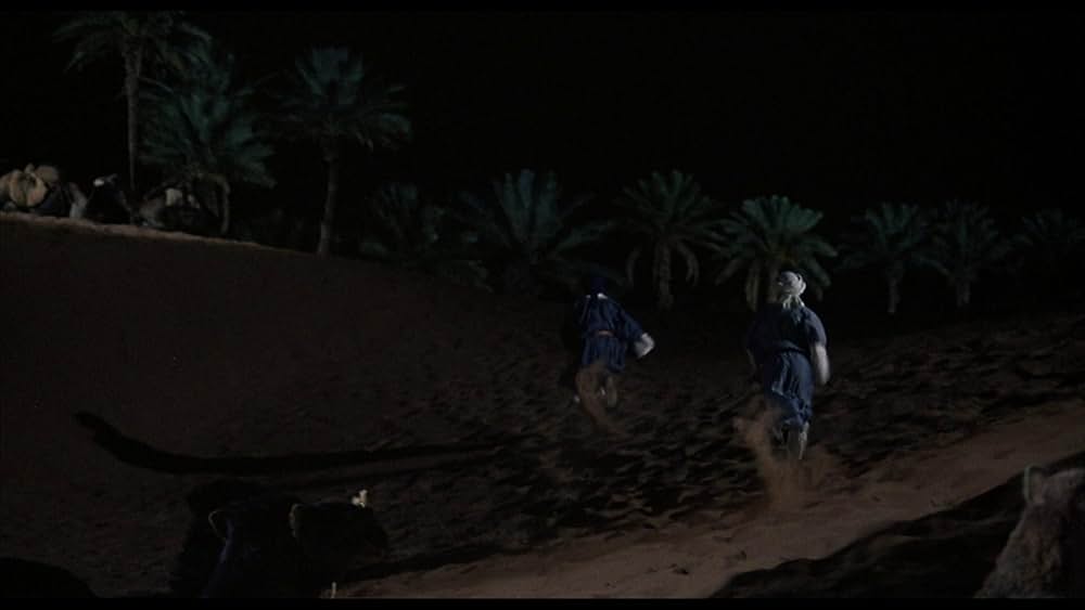 ワイルド・ブラック2／黒い馬の故郷への画像