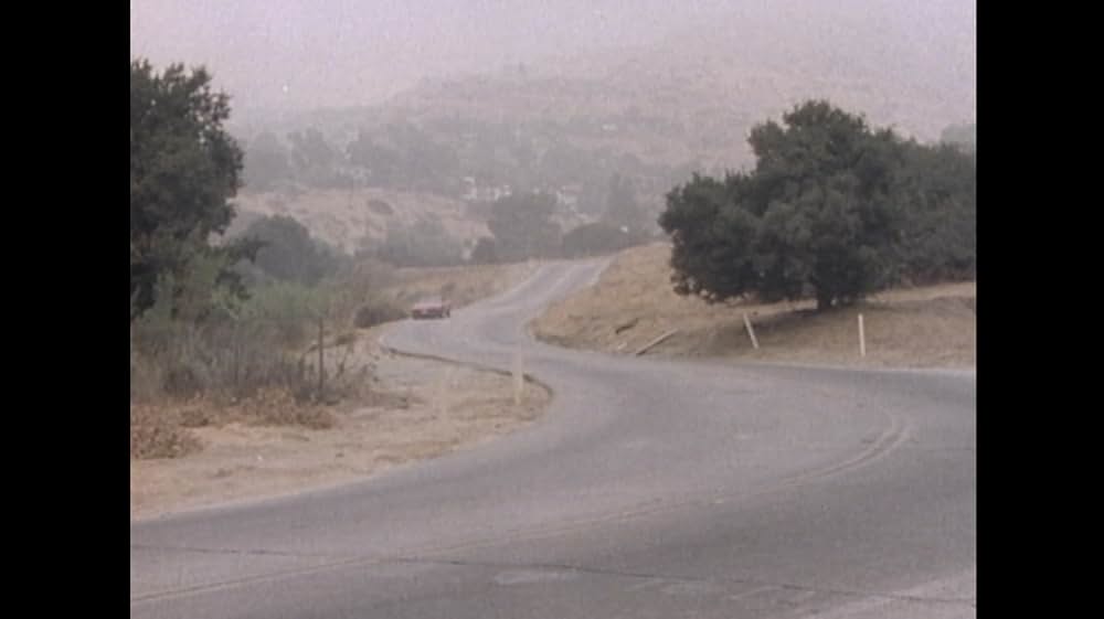 メイハム／乱暴者の画像