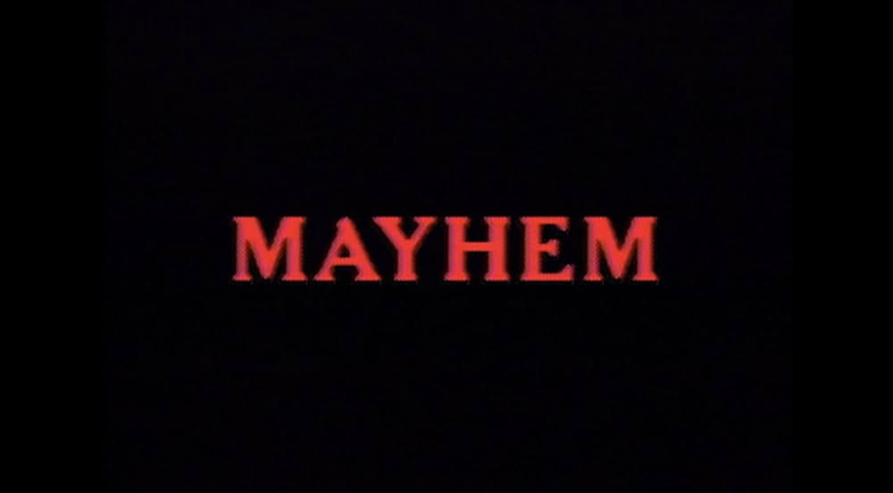 メイハム／乱暴者の画像