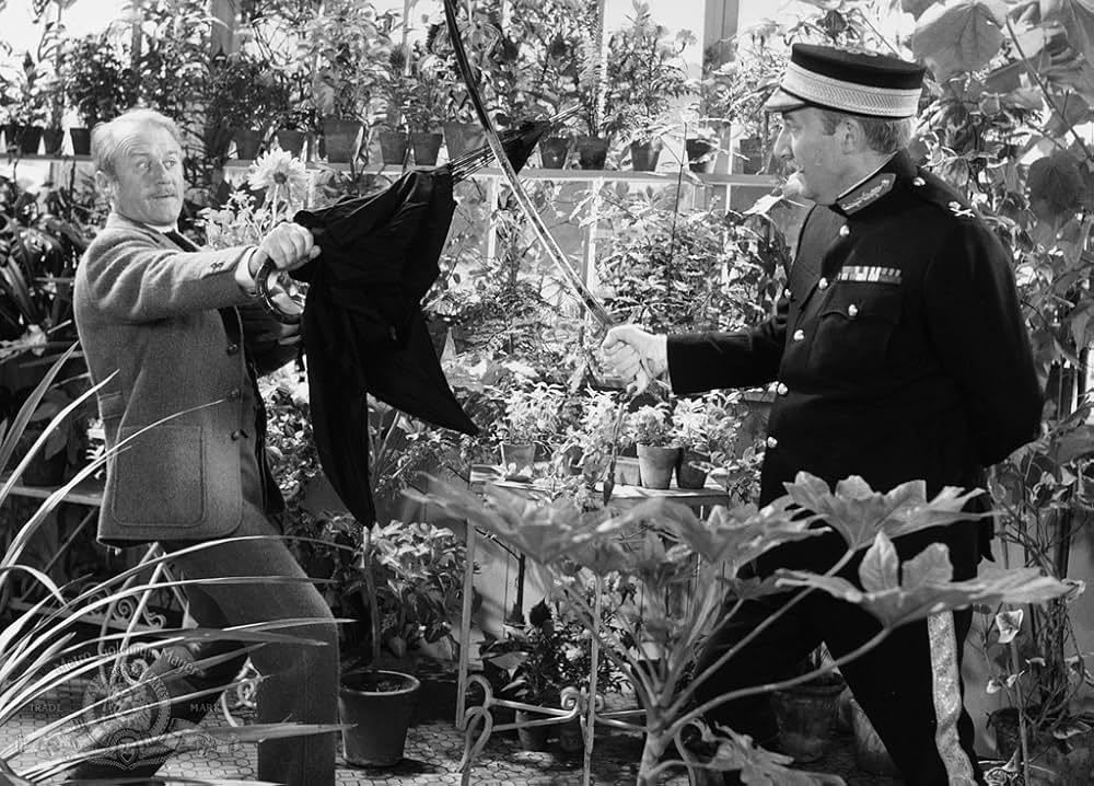 ワルツ・オブ・ザ・トレアドールズの画像