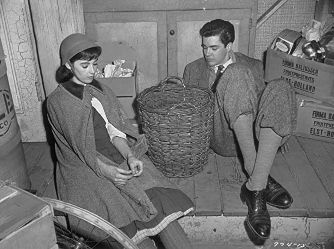 アンネの日記の画像