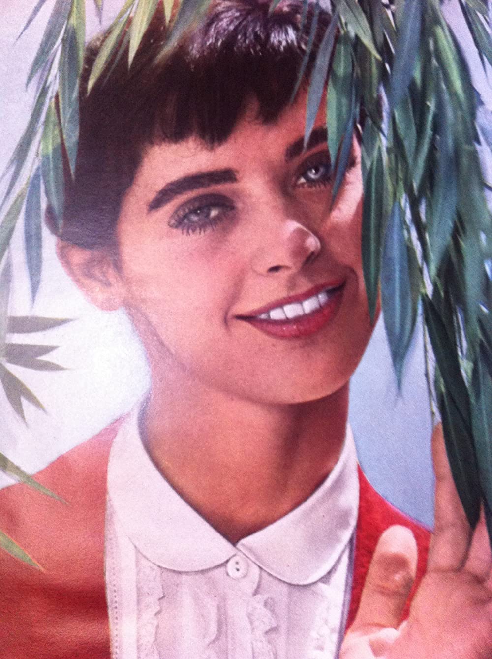 「アンネの日記」ミリー・パーキンスの画像