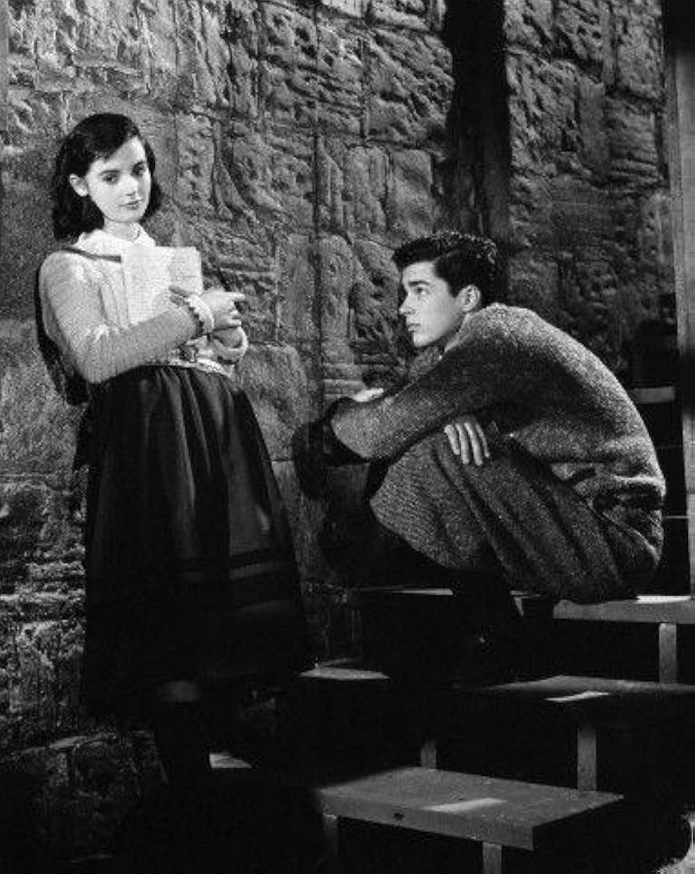 アンネの日記の画像