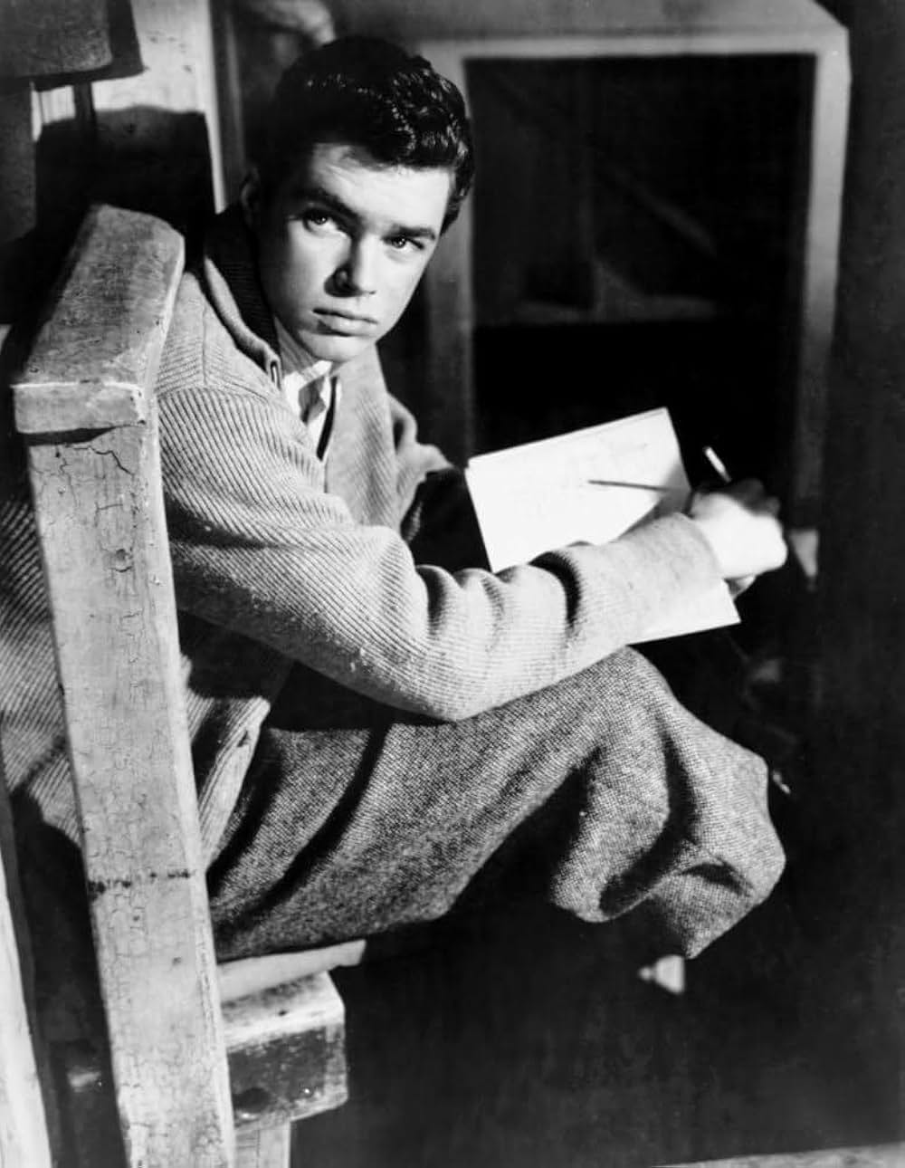 アンネの日記の画像