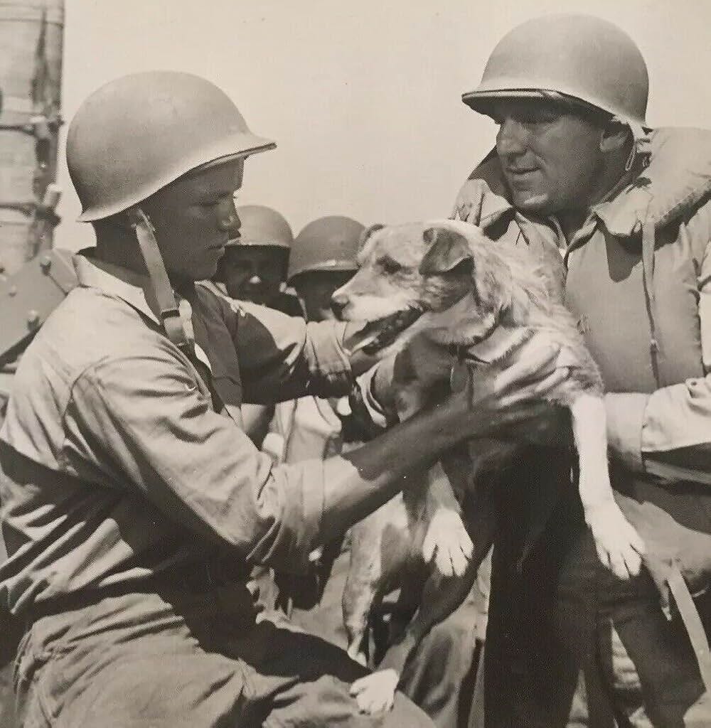 ガダルカナル・ダイアリーの画像