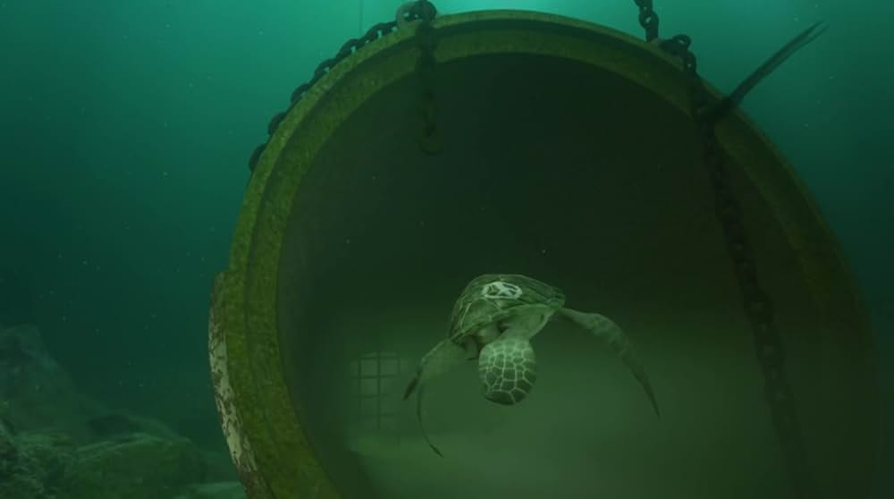 サミーとシェリー 七つの海の大冒険の画像