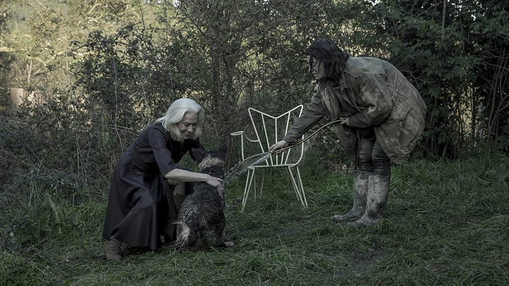 日曜日の憂鬱の画像