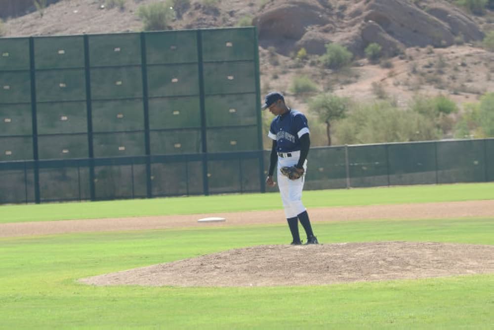 シュガーの画像