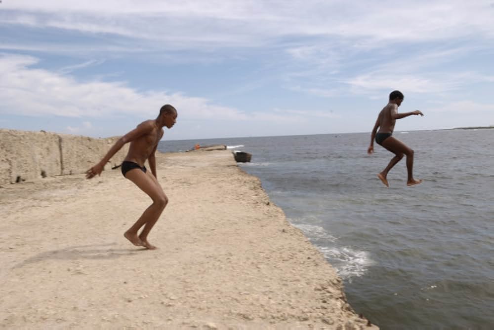 シュガーの画像