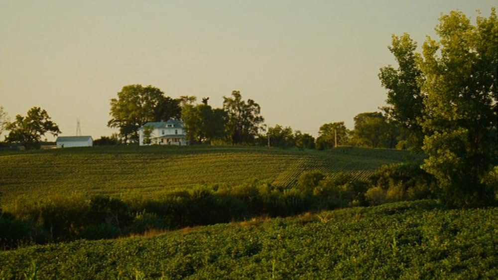 シュガーの画像