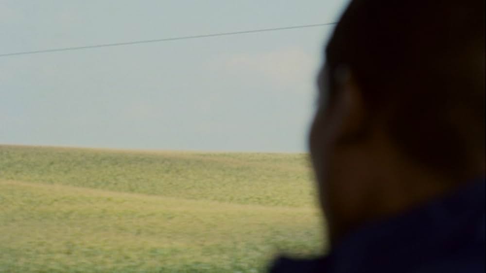 シュガーの画像