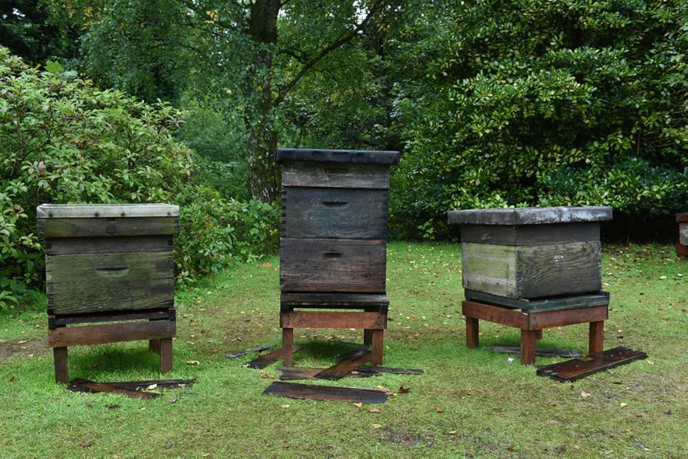 「Tell It To The Bees（原題）」の画像