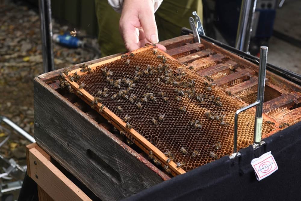 Tell It To The Bees（原題）の画像