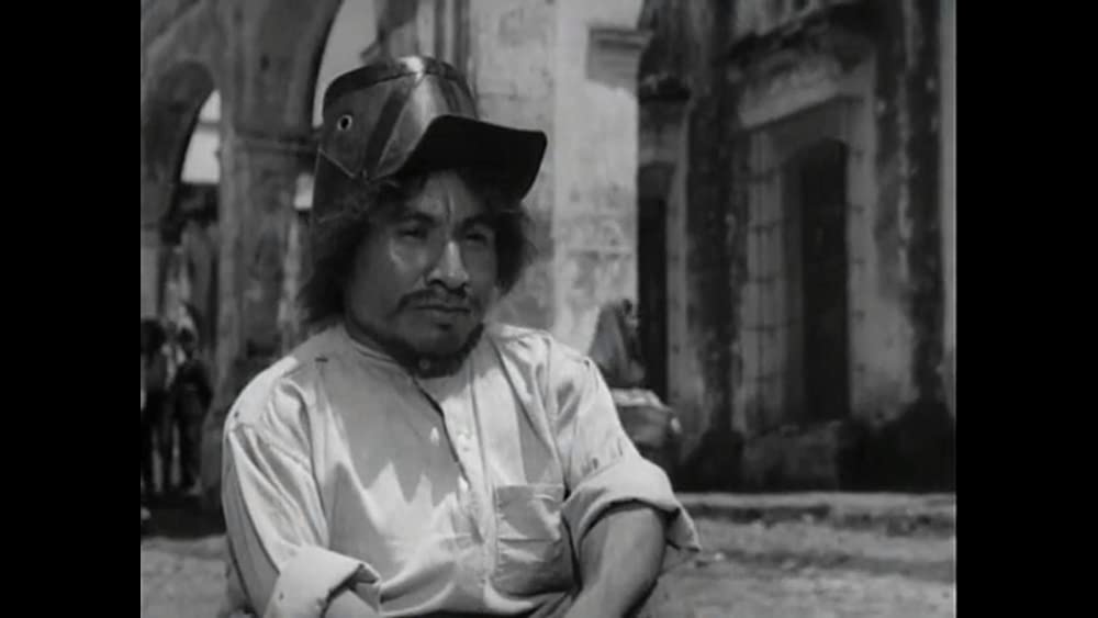 ナサリンの画像