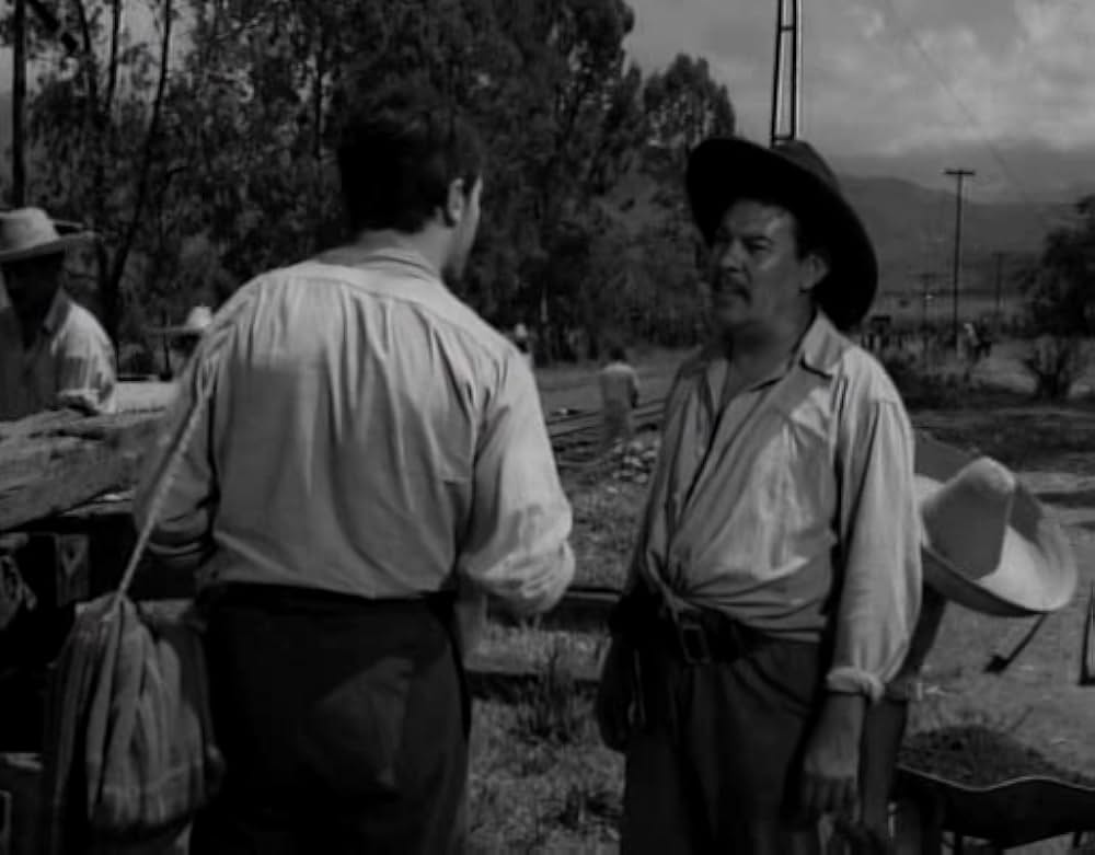 ナサリンの画像