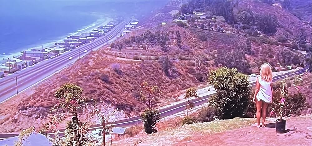 サンタモニカの週末の画像