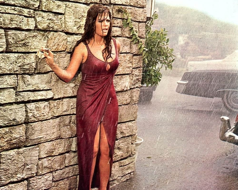 サンタモニカの週末の画像