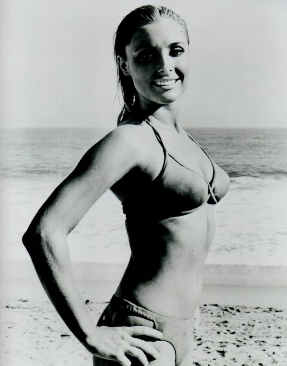 サンタモニカの週末の画像