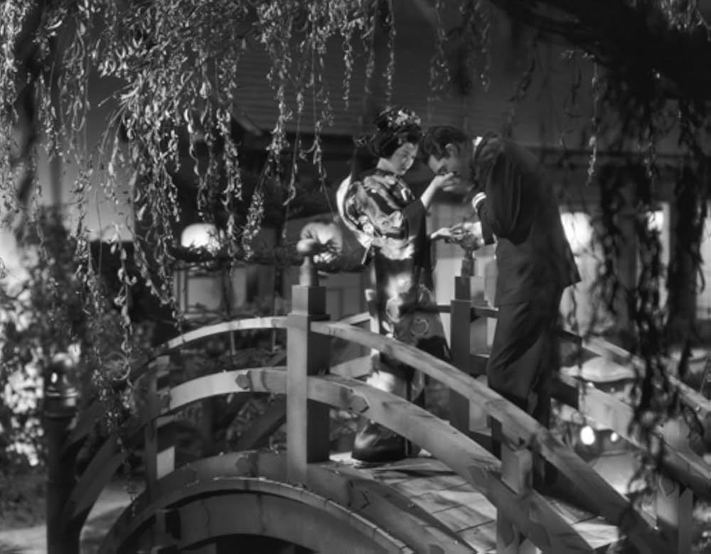 お蝶夫人の画像