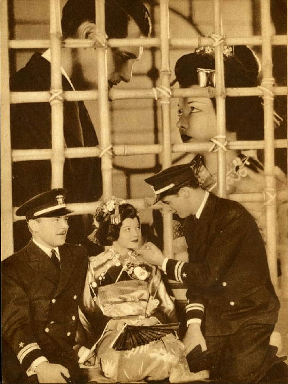 お蝶夫人の画像