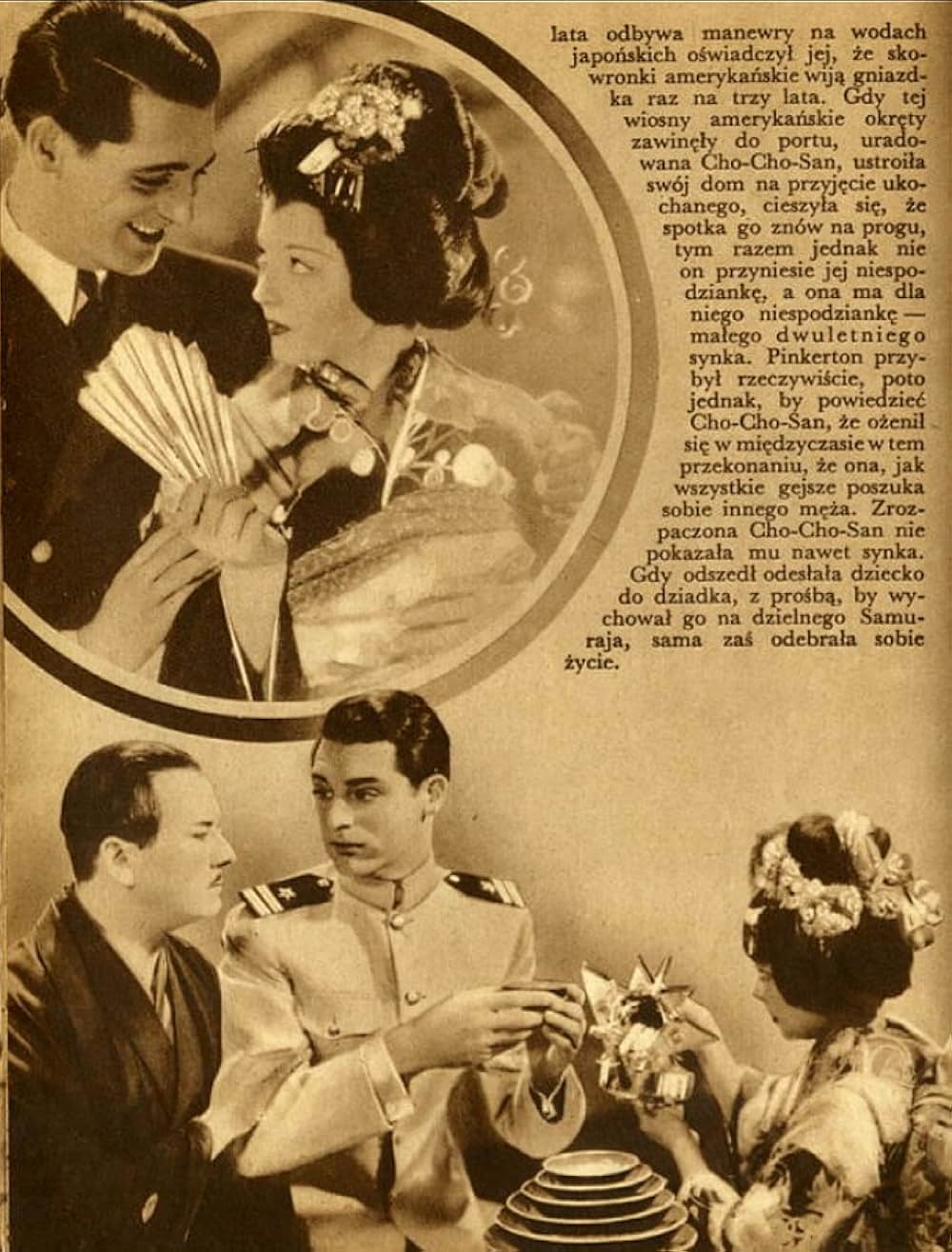 お蝶夫人の画像