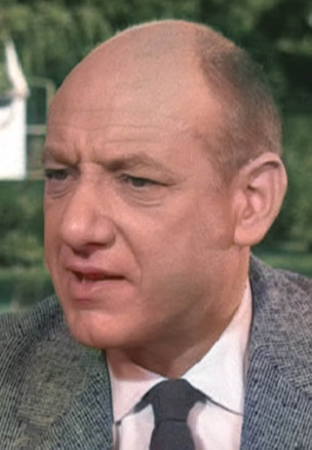 「大人は判ってくれない」の画像