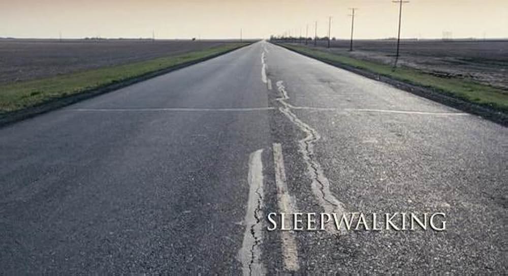 Sleepwalking（原題）の画像