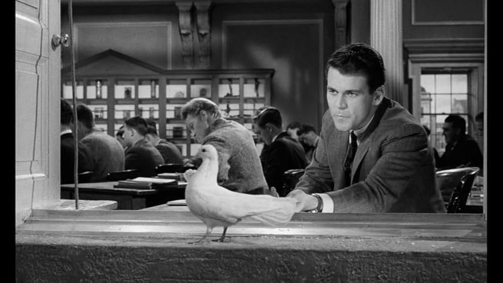 地獄で握手しろの画像