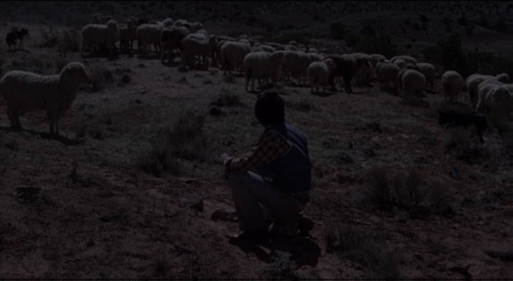 吸血こうもり／ナイトウィングの画像