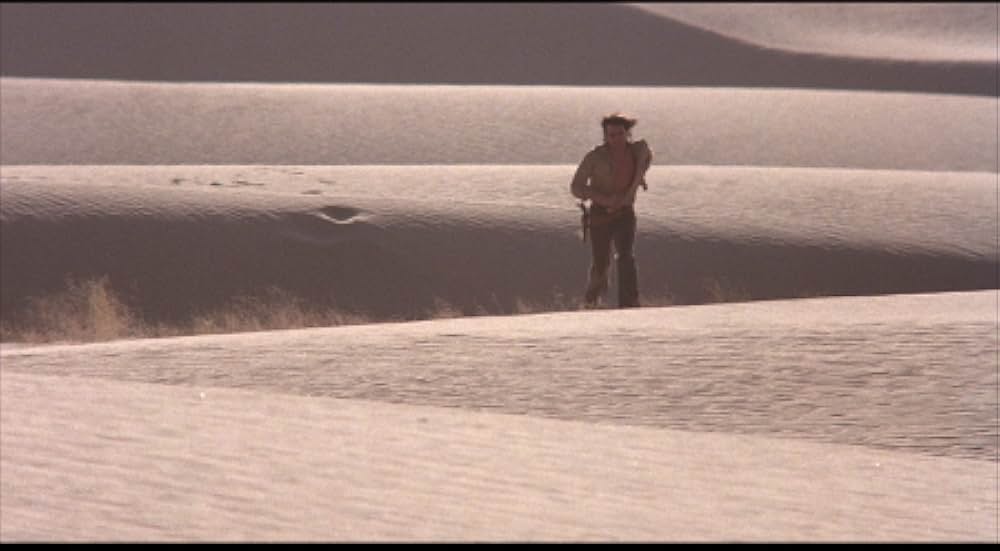 吸血こうもり／ナイトウィングの画像