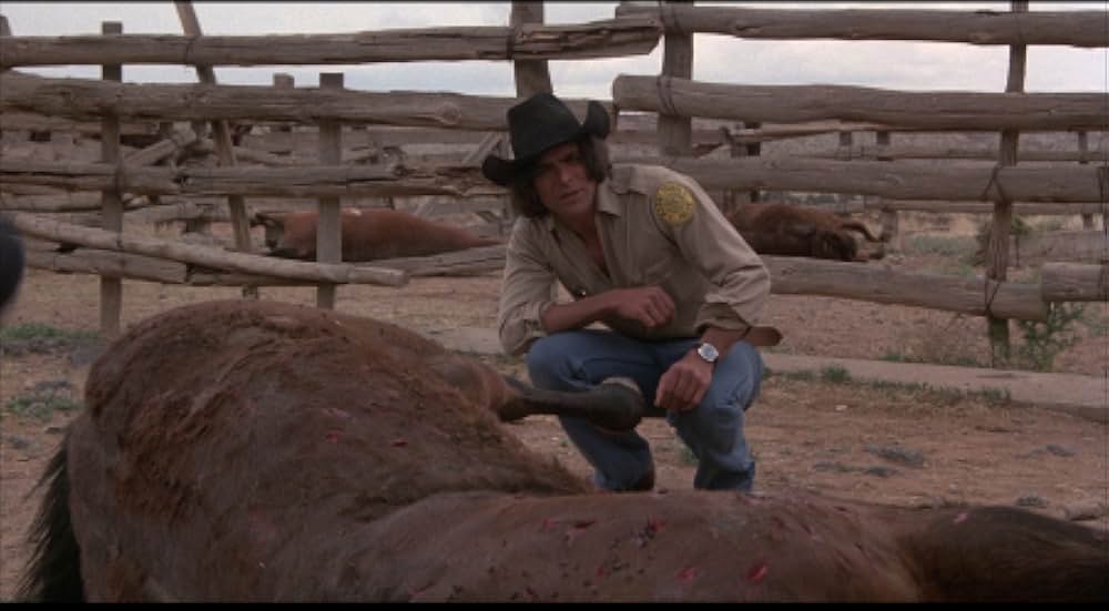 吸血こうもり／ナイトウィングの画像