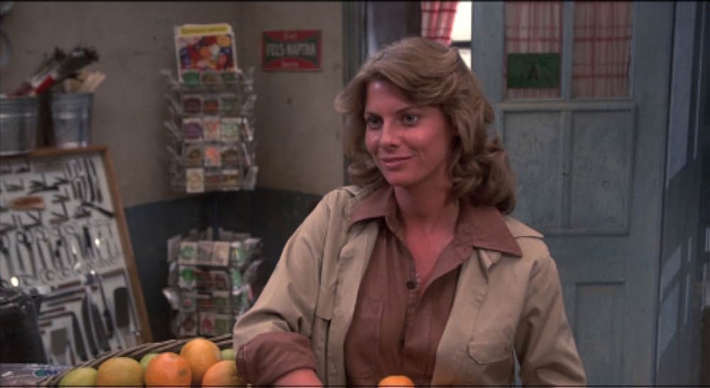 吸血こうもり／ナイトウィングの画像