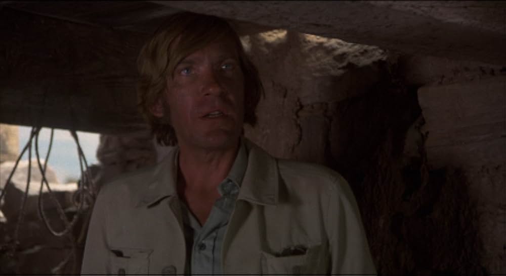 吸血こうもり／ナイトウィングの画像