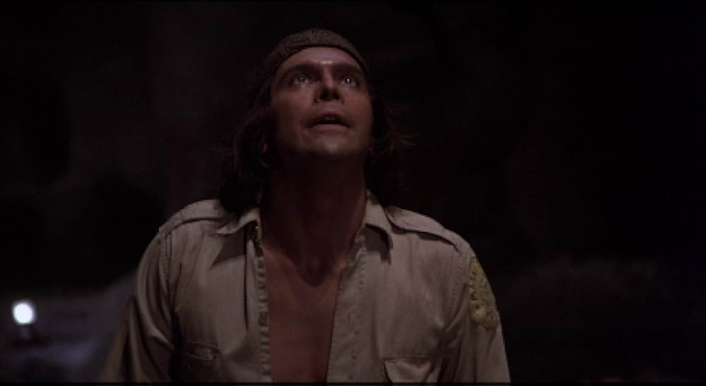 吸血こうもり／ナイトウィングの画像