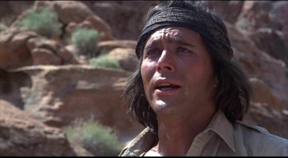 吸血こうもり／ナイトウィングの画像