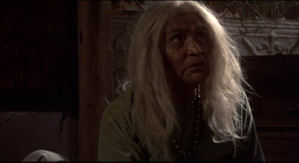 吸血こうもり／ナイトウィングの画像