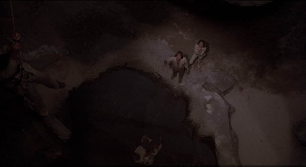 吸血こうもり／ナイトウィングの画像